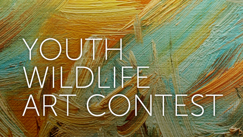 NRA Youth Wildlife Art Contest title over a paiting