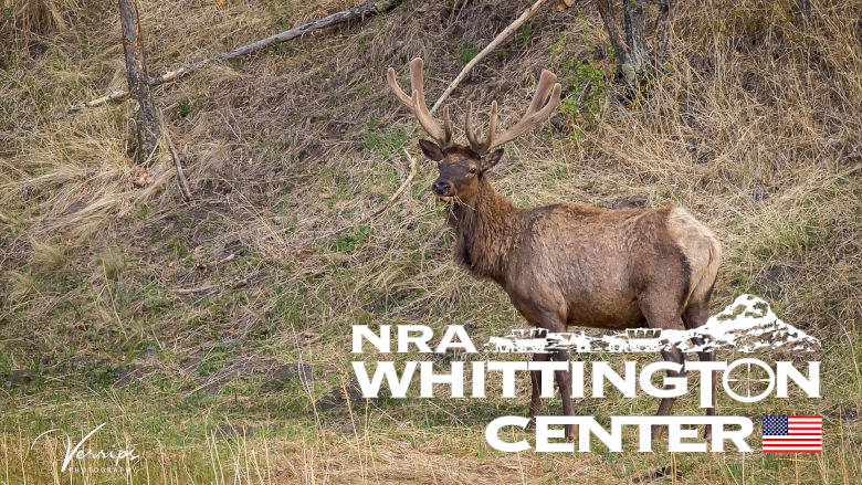 NRA Whittington Center Hunting