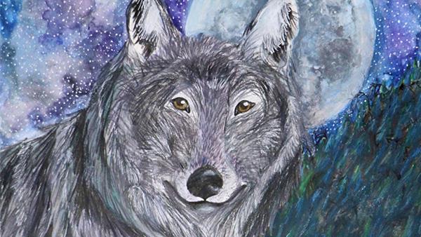 2016 NRA Youth Wildlife Art Contest Award Winner