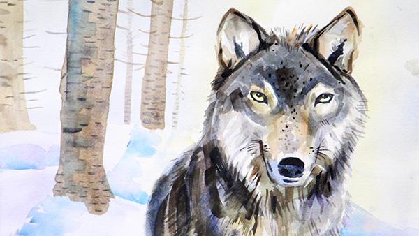 2016 NRA Youth Wildlife Art Contest Award Winner