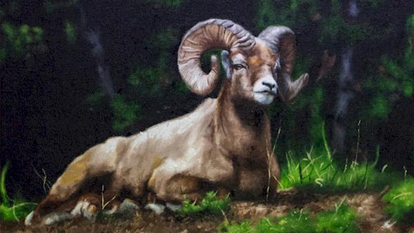 Youth Painting of Ram in the Wild